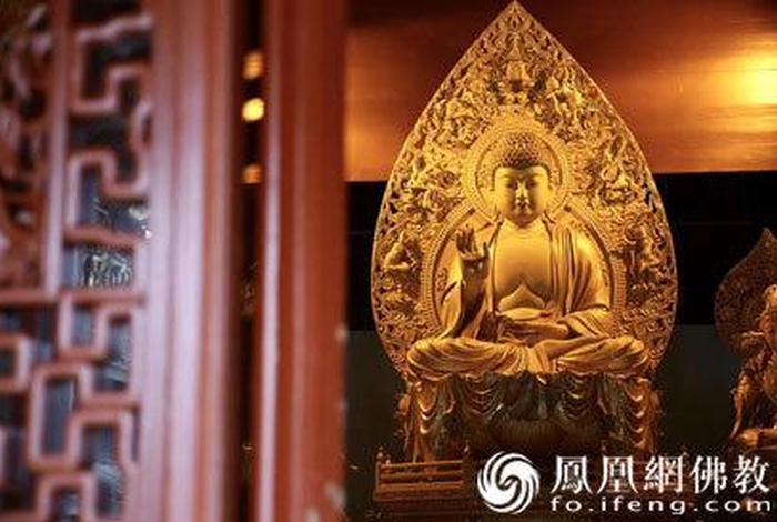 佛教也是科学、佛教也是科学教育吗