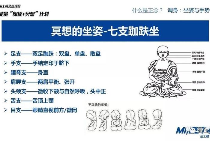 打坐教程视频（打坐要领视频）