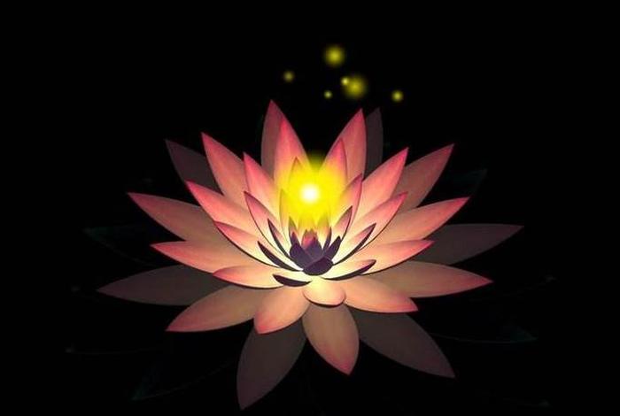 佛教为什么用莲花做象征 - 佛教为什么对莲花情有独钟？