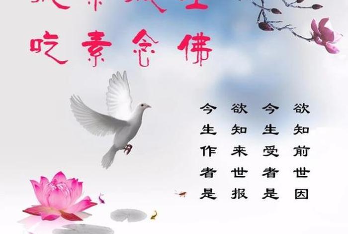 佛学常识放生的功德意义和价值 - 放生的意义及放生功德何在
