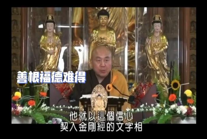净界法师专题文集 净界法师答疑解惑视频