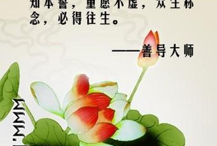 善根好是什么意思，善根是啥意思