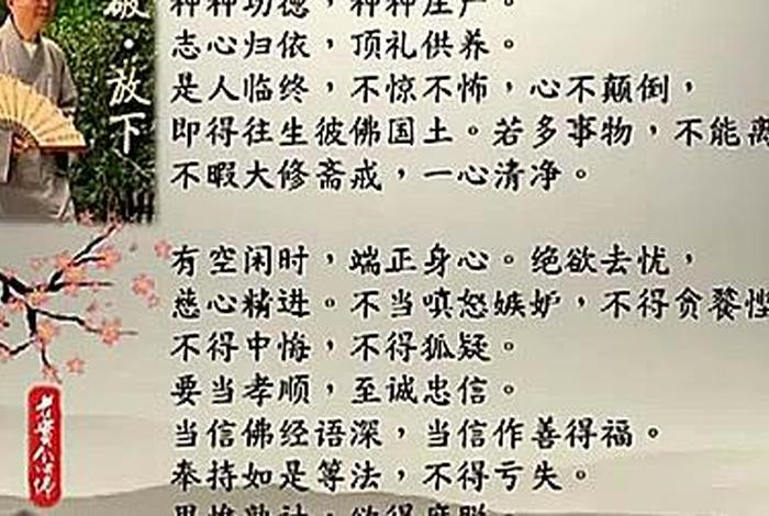 认识佛教全集视频（认识佛教全集视频净空第五集）