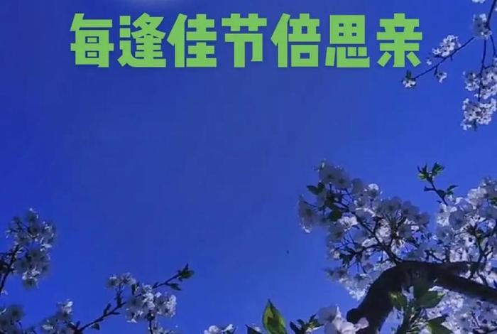 有喜有悲有苦有乐、有喜有悲有苦有乐的意思