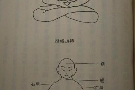 佛教打坐基础知识 佛教打坐的正确方法视频