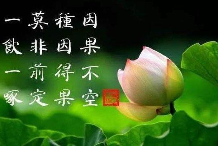 佛教积德行善的几种方法，佛教积德行善之类的语录