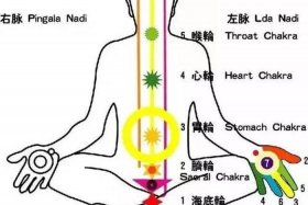 佛教坐禅的基础知识是什么内容、佛学坐禅