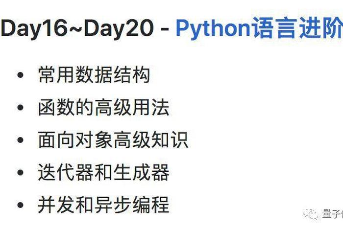 程序员法师；程序员大师是什么级别