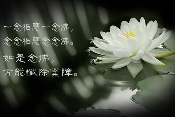 佛学中的菩提心；佛学中的菩提心是什么