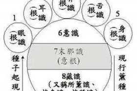 佛教里怎样找到自己的阿赖耶识、佛学解释阿赖耶识的由来