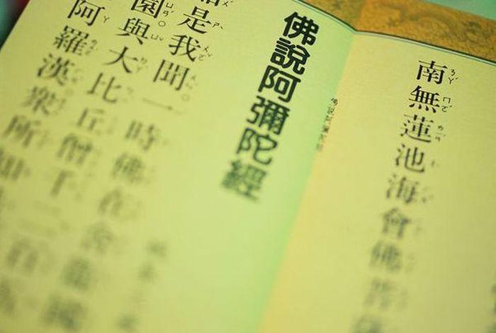 佛教的核心思想就三句话（佛教核心思想主张）