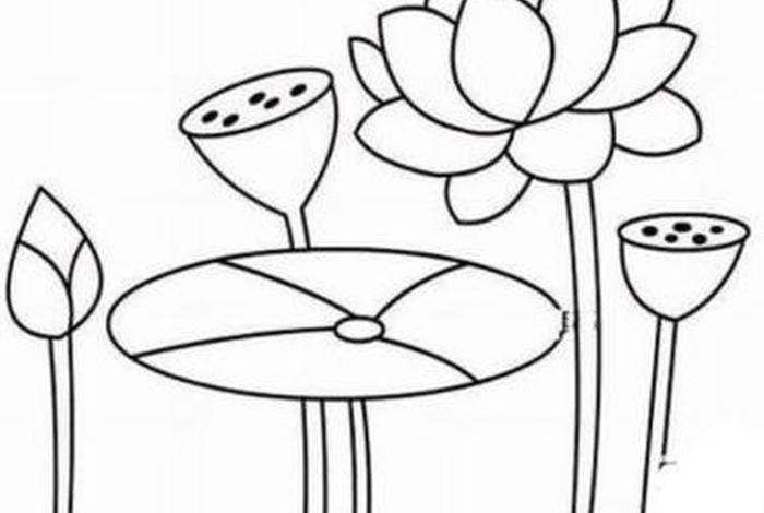佛教相关简笔画，佛教简笔画莲花