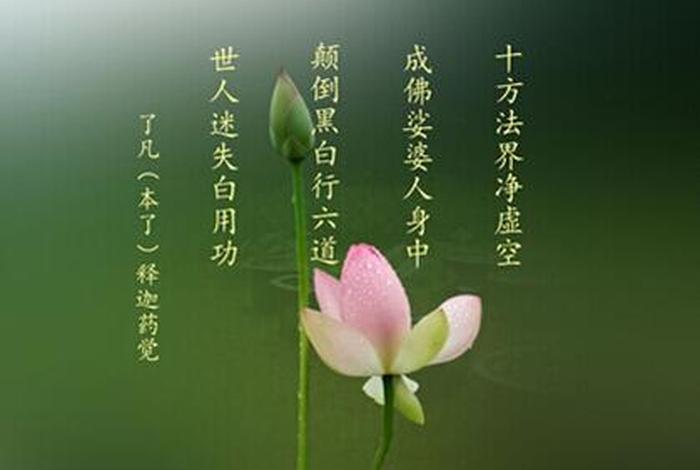 为啥学佛人不被世人理解 为啥学佛人不被世人理解呢