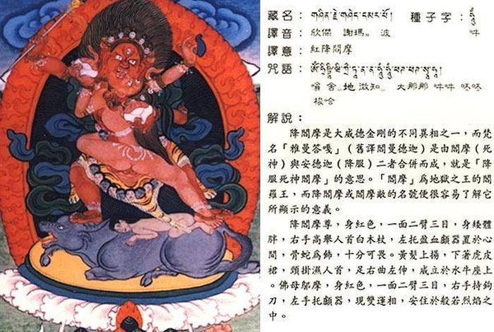 藏传佛教中的红教（藏传佛教的红教指的是什么）