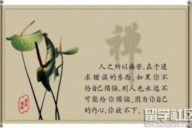 佛教智慧语录禅语人生，佛家经典禅语智慧