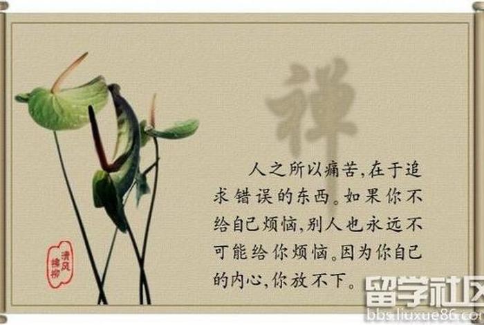 佛教智慧语录禅语人生，佛家经典禅语智慧