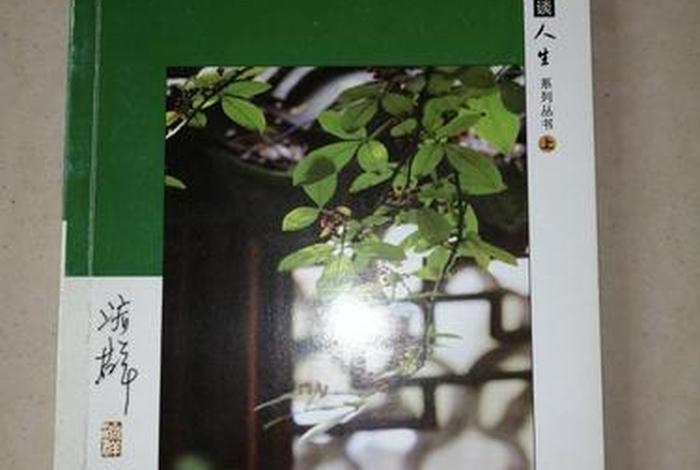 佛教与中国的传统文化（佛教与中国文化的关系）