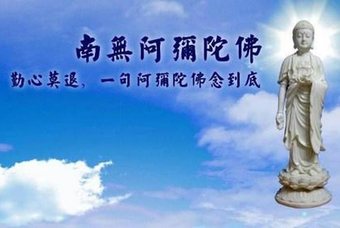 禅净双修净界法师讲解（禅净双修怎么个修法）