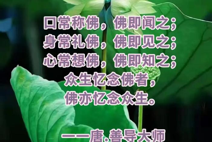 佛说善报的经典句子，佛说善报的经典句子大全