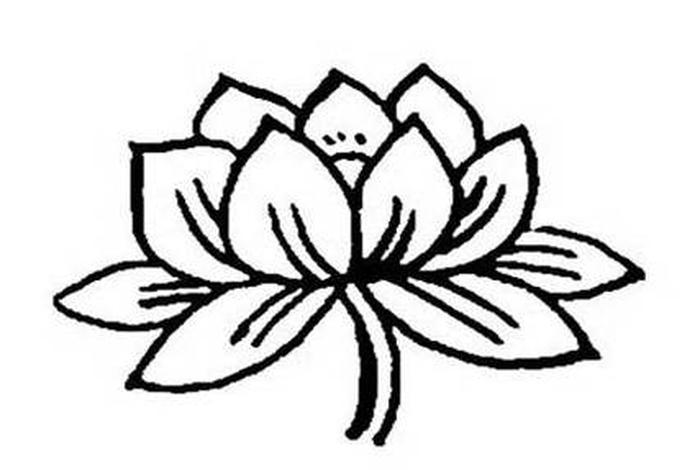 佛教莲花简笔画、佛教莲花图片手机壁纸三格
