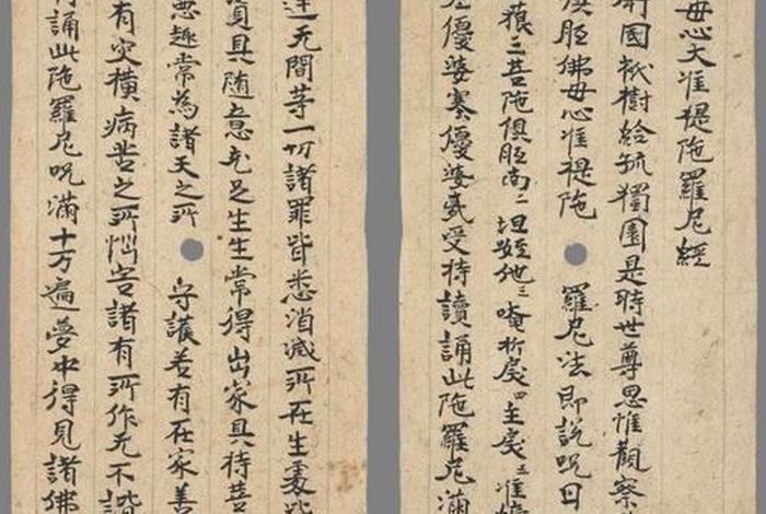 俱胝的佛学常识；俱胝是多少