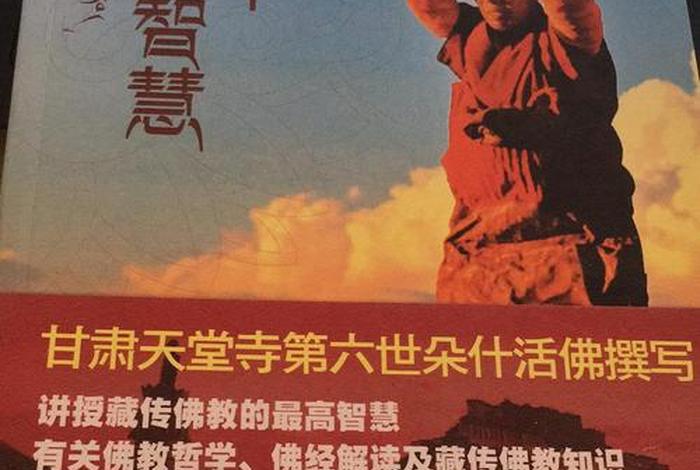 仁波切开示智慧、仁波切的书