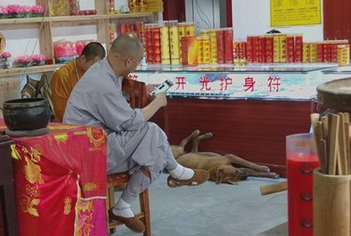 去寺庙学佛要钱吗（去寺庙要什么学历）