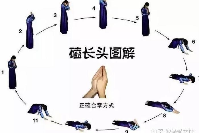 佛教基础知识入门视频教程大全、佛教基础知识入门视频教程大全下载