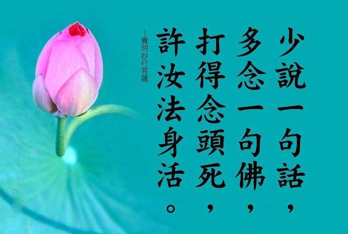 佛学最经典的禅语是什么，佛家经典禅语大全句句让人大彻大悟