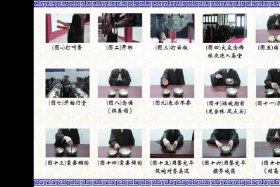 佛门大拜；佛教大拜的标准动作讲解