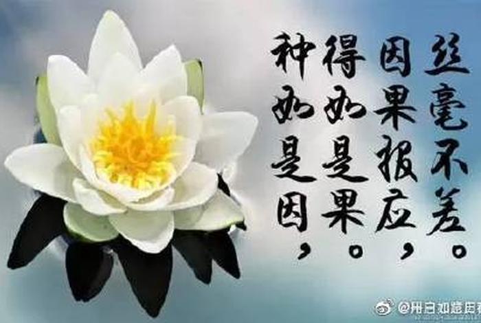 听完佛法总结 听完佛法总结怎么写