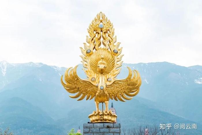 在网上可以传播佛教知识吗知乎，网上佛教徒出真恶心