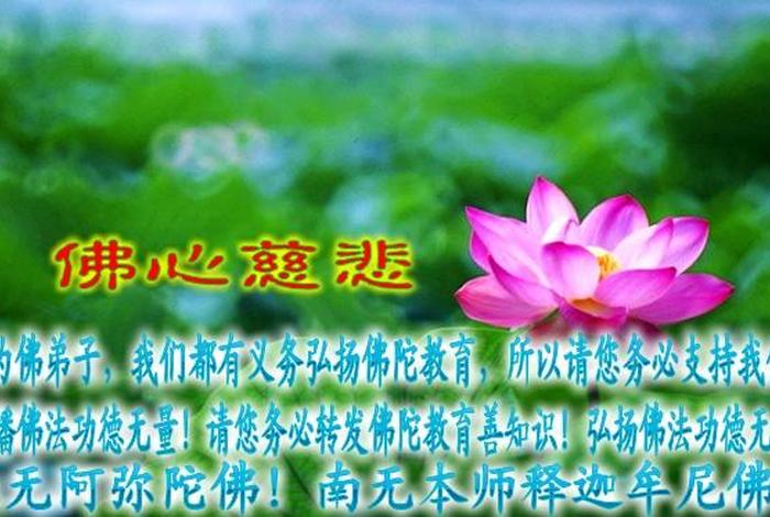 佛学知识学佛感应 众多居士学佛感应视频讲解