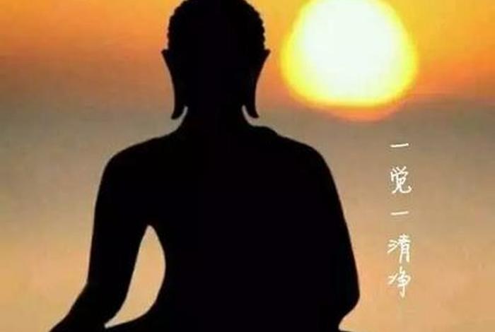 佛学知识学佛后的感悟；学佛后的心得体会