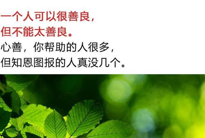 心太软是一种不公平的善良,但还是一错再错（心太软也是一种病）