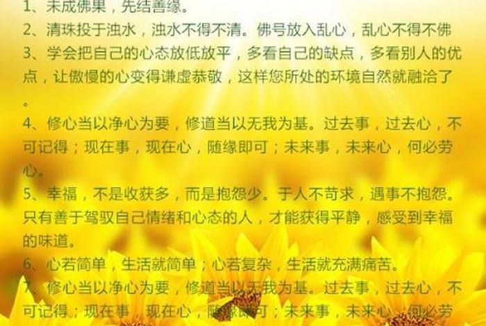 对佛学的心得体会，对佛学的认识