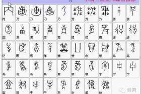你所知道的甲骨文知识，甲骨文的示例
