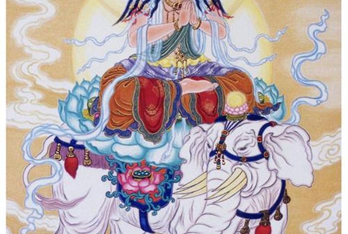 普贤佛教背景知识讲解图视频；佛教故事普贤菩萨视频