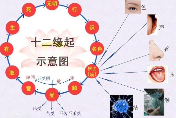 佛教的一些基本问题 佛教的一些基本问题有哪些