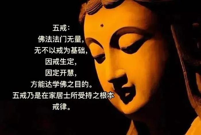 佛教教导世人什么、佛教教导人们