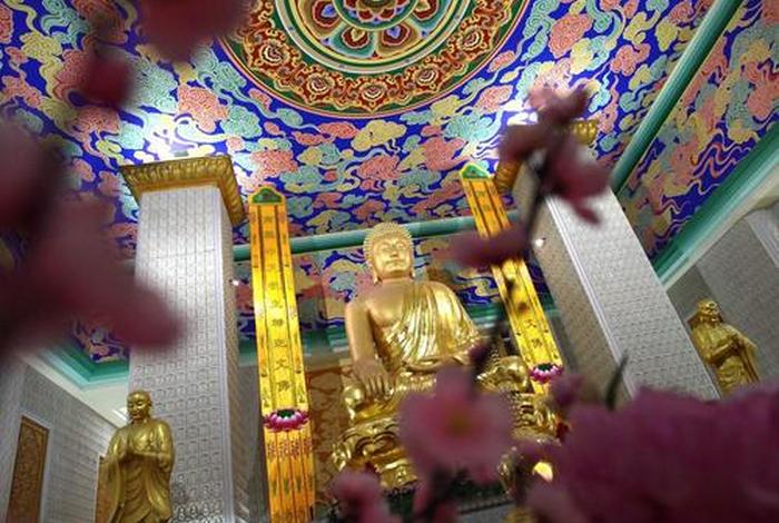 佛教圣地文化巡礼图书、佛教艺术圣地