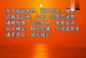 净土发愿文的解释（净土发愿文谁写的）