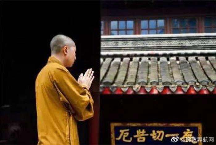 佛教导航官网手机版 佛教网app