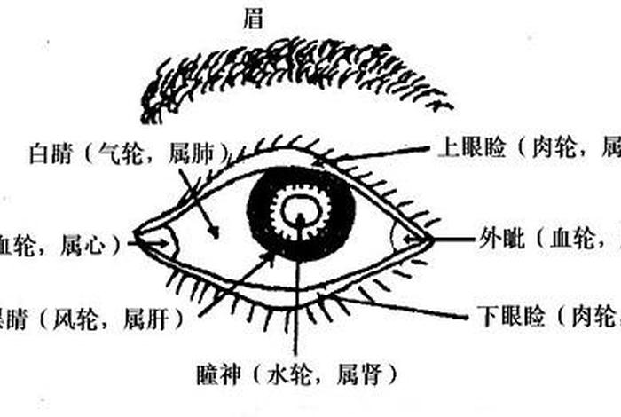 佛教为什么有五眼 佛教五眼图