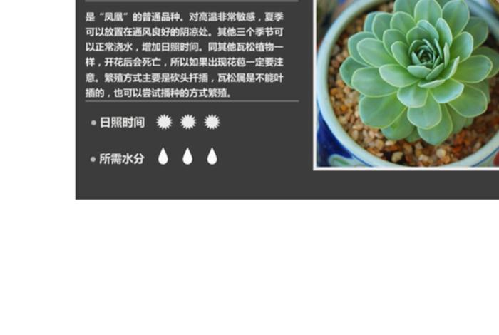 多肉新手入门必学知识书 - 多肉植物新手种植入门