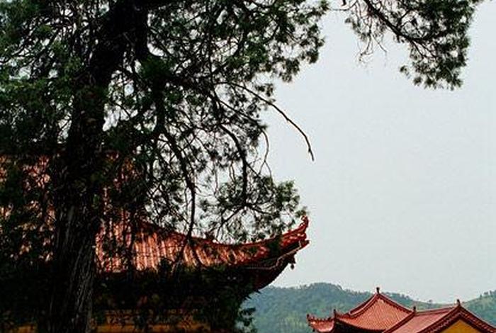 佛教丛林 - 佛教丛林管理的方法 佛教丛林 - 佛教丛林管理的方法