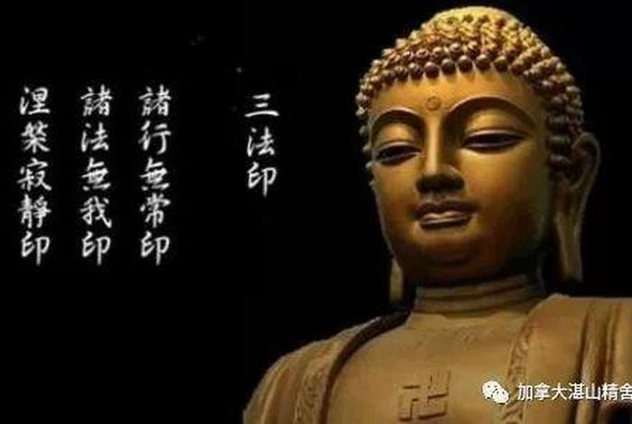 佛教哲学不二之法 - 佛法是不二之法是什么意思