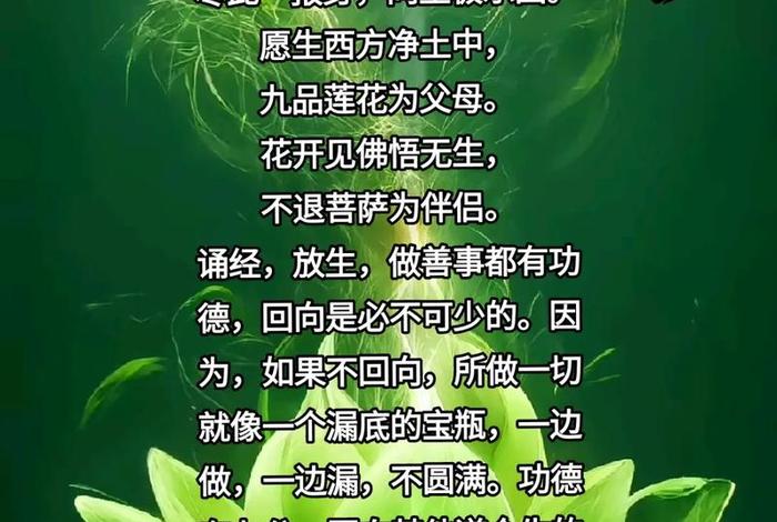 传播佛教文化有无功德，传播佛教文化有无功德利益