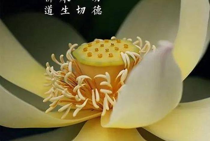 佛教中人的魂魄有哪些特征，佛说魂魄经