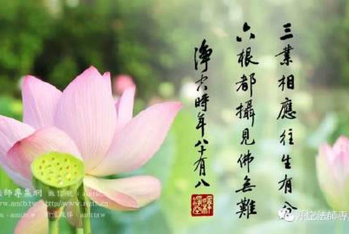 阻止别人念佛的果报 - 阻止别人学佛